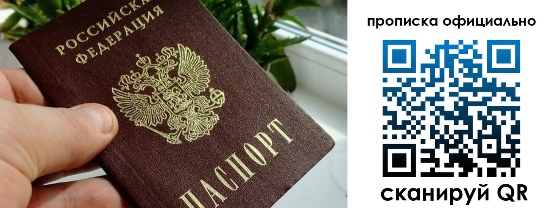 прописка поиск в Ленинске